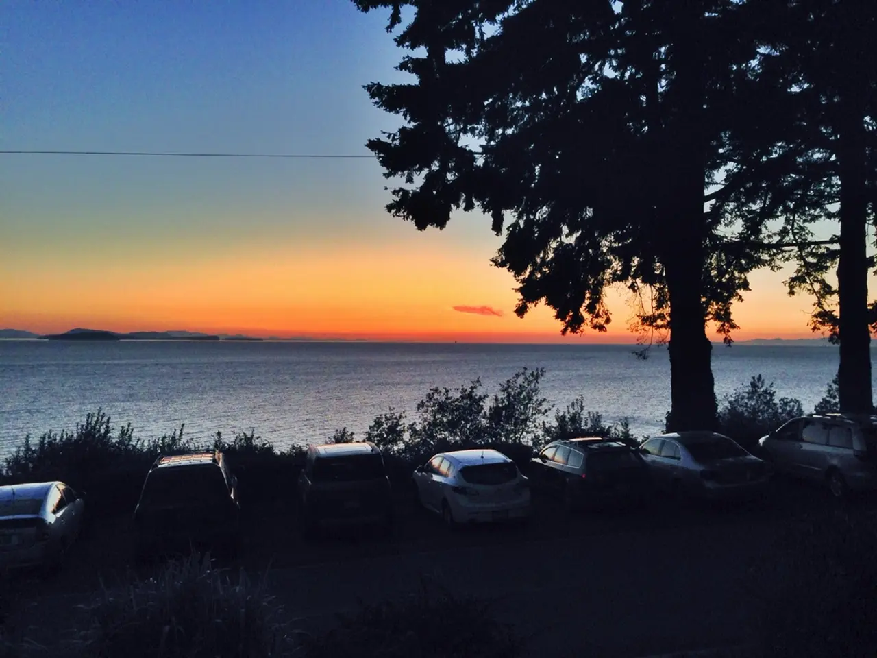 Greens Propose Planting One Million Trees in Berlin