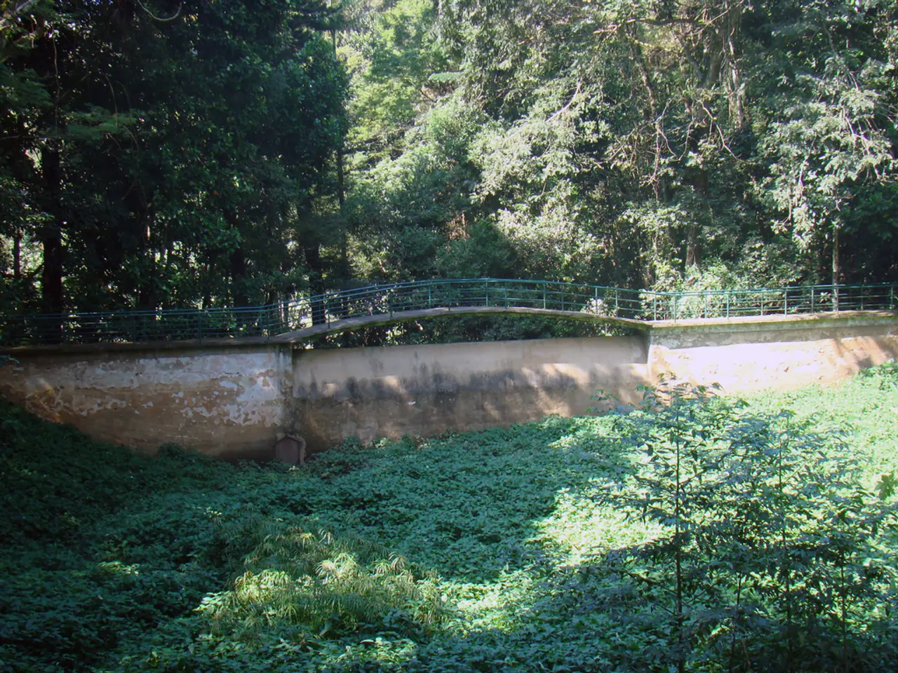 Beware: Appealing Flora May Wreak Havoc in Your Garden