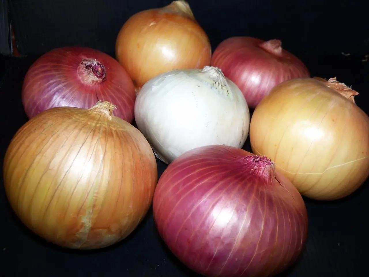 Methods for Cultivating Garlic: A Step-By-Step Guide