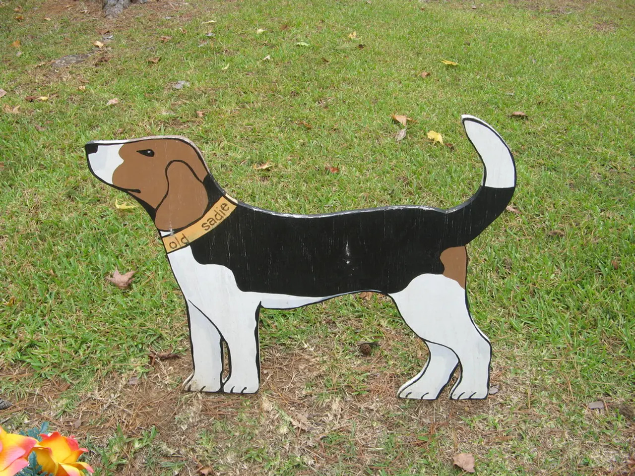 Gathered Near the Flames - Vibrant Hues