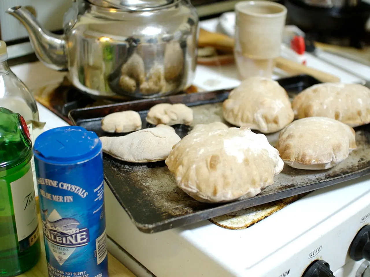 United Kingdom Boiler Types, Brands, and Costs: An Overview