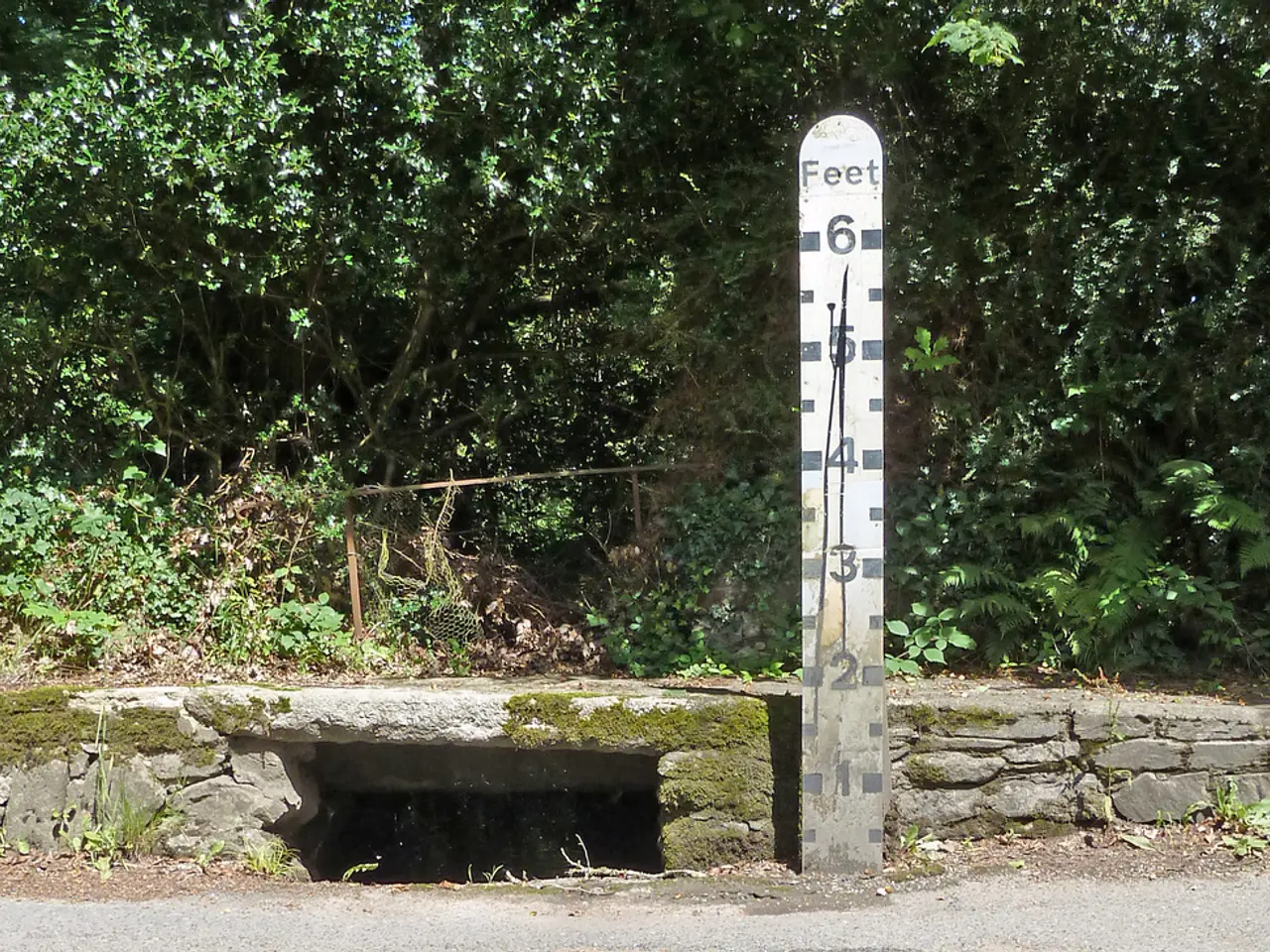 Affordable solution for difficult tree trimming tasks this fall: a cost-effective cordless mini...