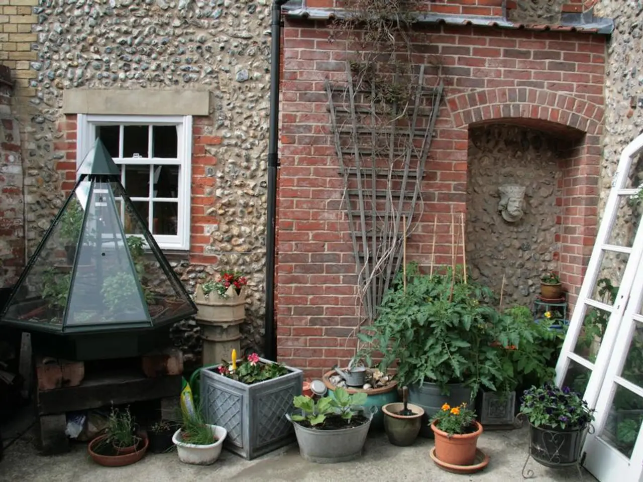 Nurturing Calla Lilies Indoors: A Guide on Cultivating this Exotic Blossom as a Home Plant