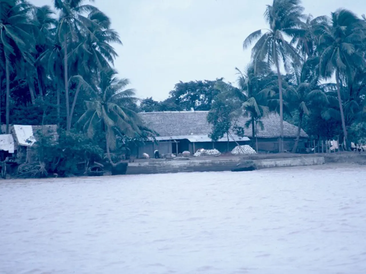 Overcoming the challenges of constructing a new residence in a flood-prone conservation area proved...