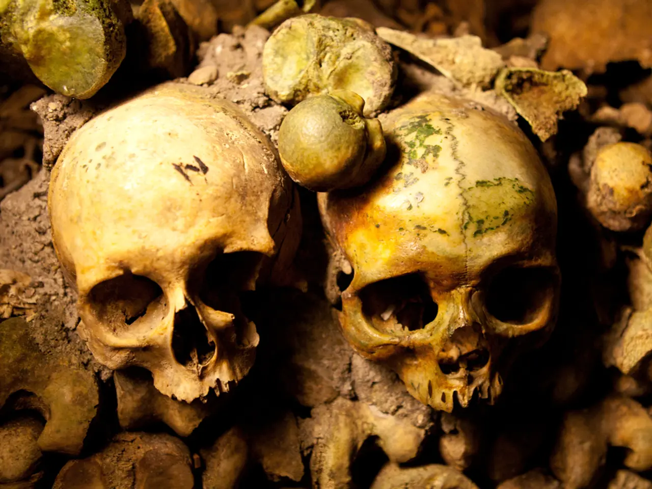 Comprehensive Manual for Deadheading Peonies: Understanding its Importance and Steps to Execute