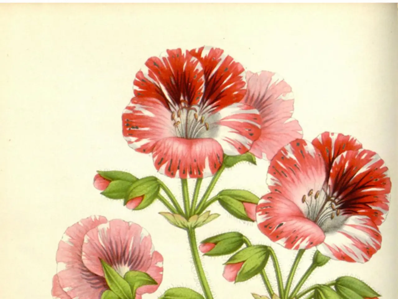 Vibrant Embroidery Snapshots Honoring Family Bond