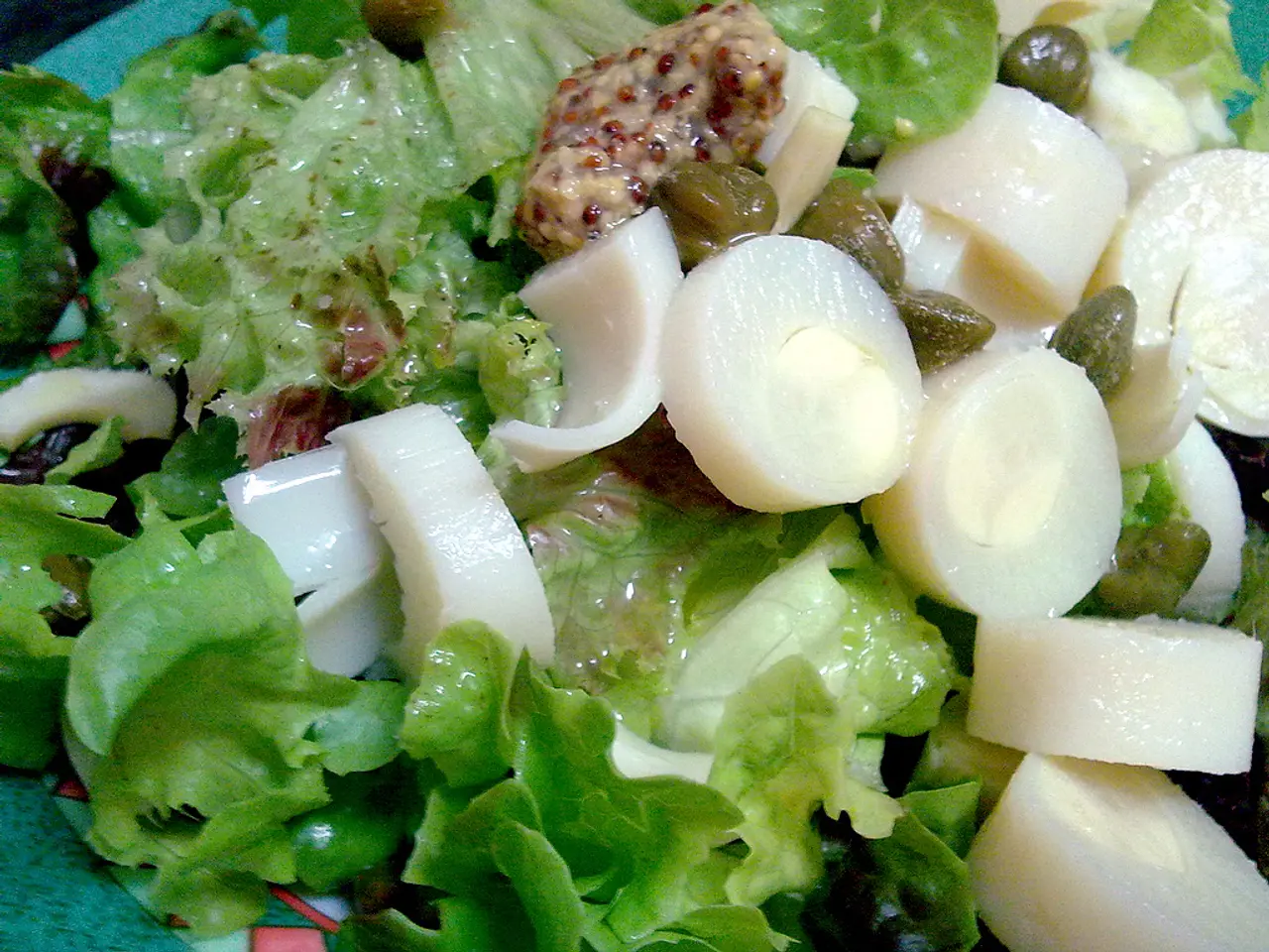 Cultivating Lettuce: A Blueprint for Sowing, Nurturing, and Gathering Lettuce Heads