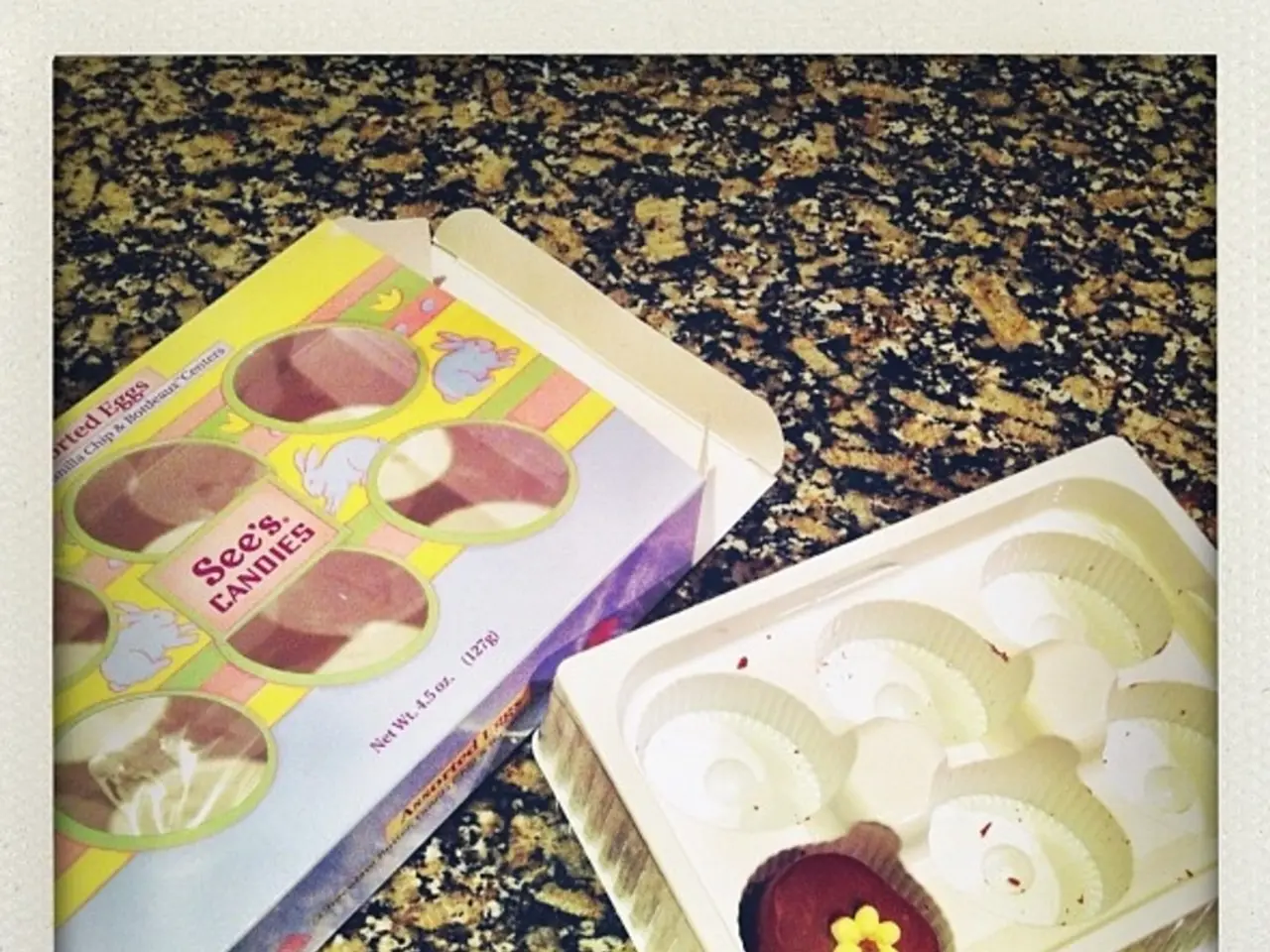 Top automation in pet feeding 2025: Simplify meal preparations for pet owners