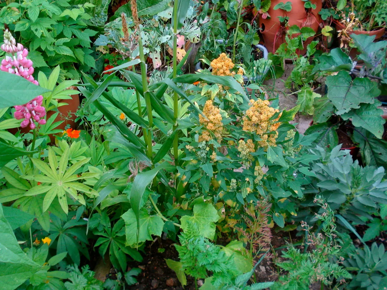 Gardening confession from Manoj Malde: skips the composting process