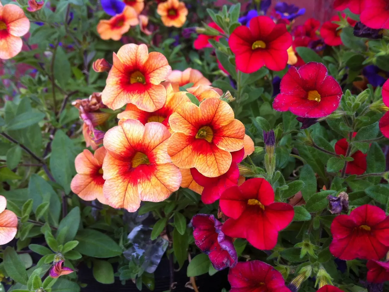 Autumnal Flower Arrangements for Pots - 8 Stunning Choices for Long-Lasting Fall Decorations