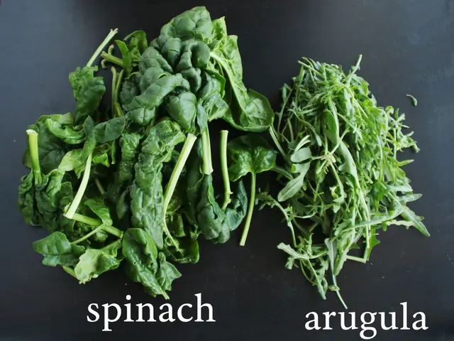 Tips for Cultivating Lettuce Leaves at Home