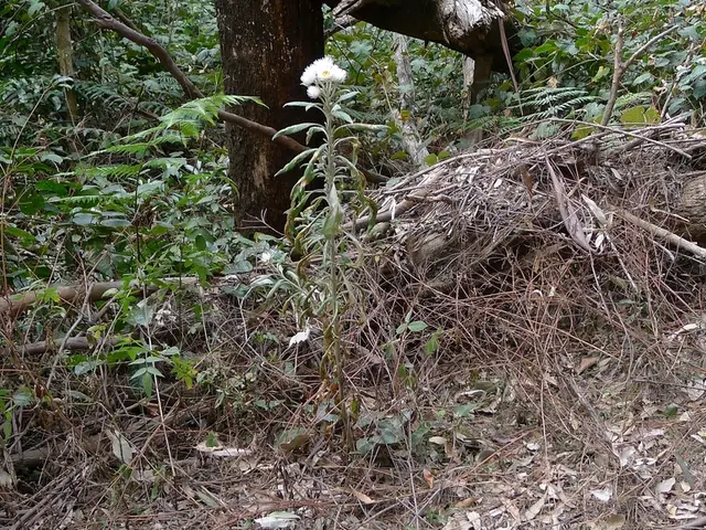 World's Most Alluring Gardens Ranked: A Gorgeous Gallery of Captivating Landscapes