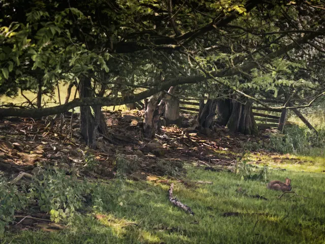 Mick Jagger's upstate New York residence boasts a secret garden fortified with security, safety,...