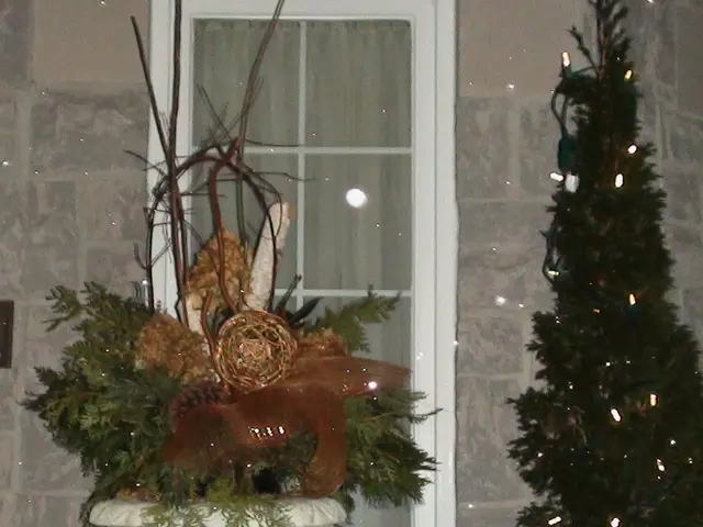 Top 5 Indoor Winter Plants to Cultivate, Transforming Your Home into a Comfy, Green Sanctuary