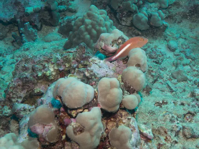 Unveiling the Production: The Making of E.T. The Extraterrestrial