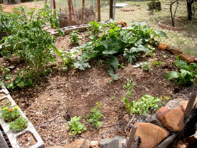 Comprehending Essentials of Tropical Plant Soil: A Guide