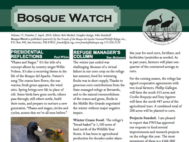 Seeking Effective Methods to Deter Seagulls from Soiling My Boat? This Year, I'm Testing All Types...