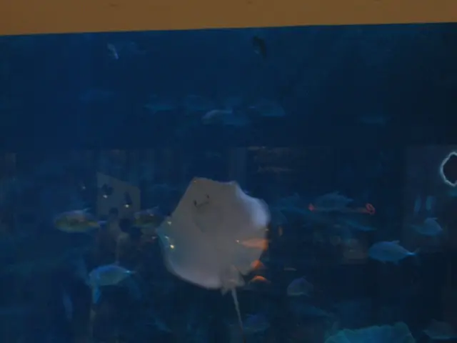 Ideal Lighting for Frogbit: Understanding the Key Factors for Vibrant Growth