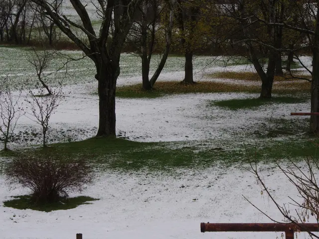 Gardening Method Without Cultivating Soil Before Planting Seeds