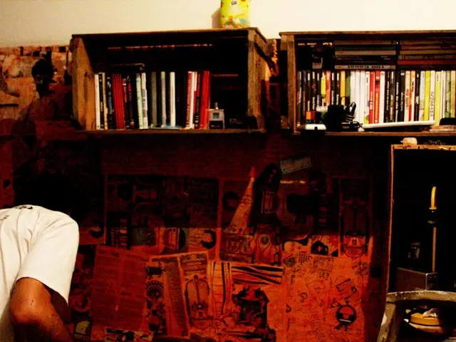 Renovate Your Dining Room with Ease: DIY Peel-and-Stick Wallpaper for a Stunning Accent Wall