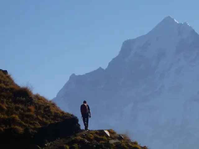 Access our digital platform immediately