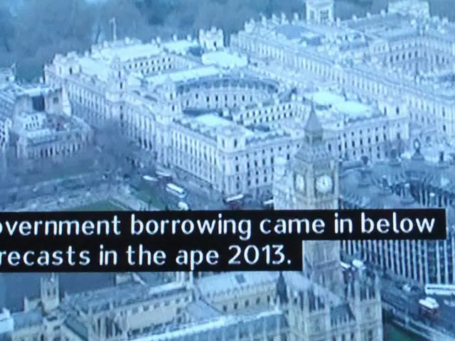 Celebrating the AMP 2024 Winners' Anthology