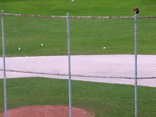 Garden Squirrel Pesterance Prevention Trick: A Non-Injurious Method that Keeps Squirrels Away from...