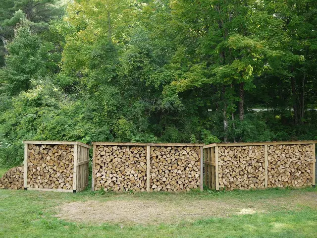 Choosing the Optimal Timber for Elevated Vegetable Boxes: Picking the Suitable One for Your...