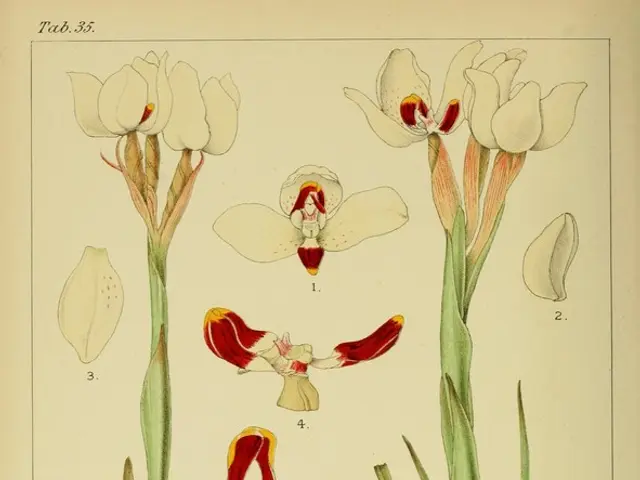 Keep Away Pests: 7 Garden Plants That Naturally Repel Insects