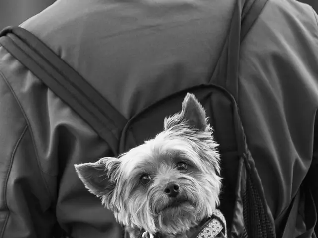 Budget-Friendly Comfort: REI Co-op Trailmade Jacket Evaluation