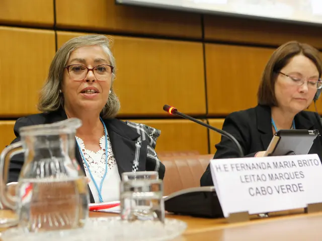 Optik Möckel's residence offers the coveted dream glasses, accompanied by mobile eye care...