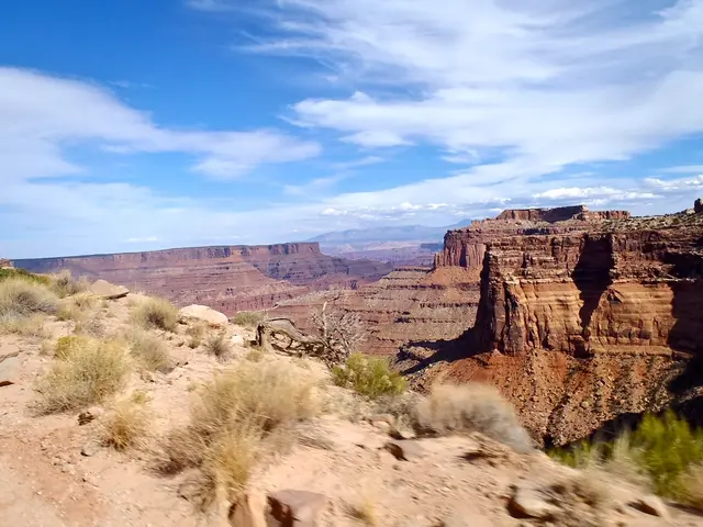 Plants that prosper in moist soil - specialists reveal the greenery that will bloom despite a soggy...