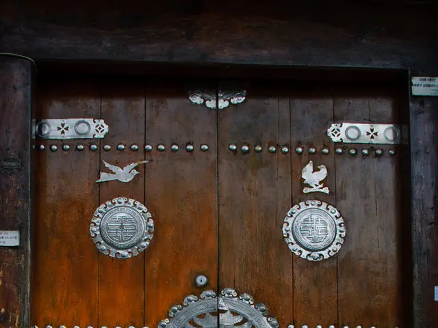 Safeguarding Domestic Spaces: Strategies for Barricading Homes from Termite Invasion