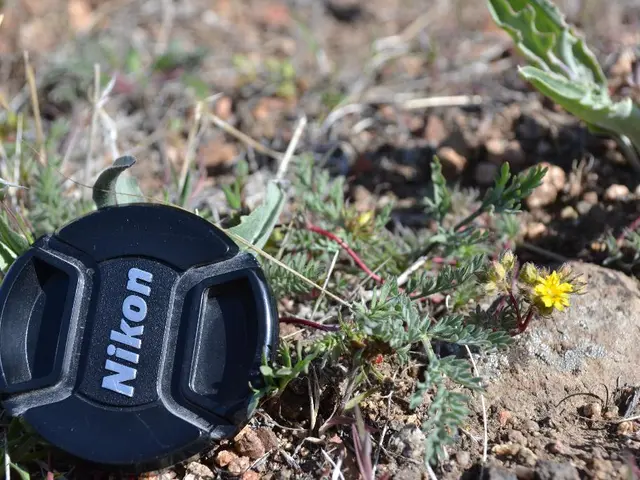 Transforming an OKC Lawn into a Weed-Free, Lush Green Area