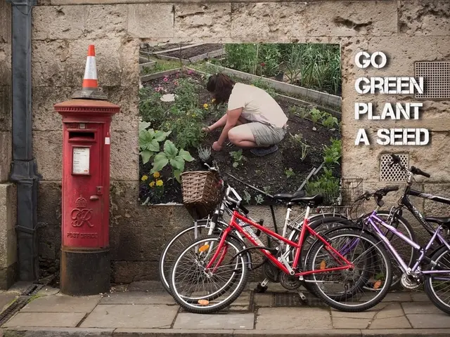 Road Safety Training in Bendorf: Developing Road Usage, Bicycling Skills, and Integration Efforts