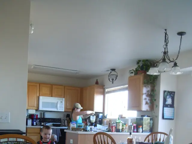 Criticizing the Landgasthof Brummer's culinary offerings without any bias or influence