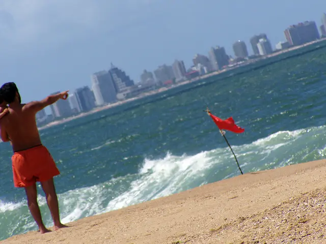 Nicole Kidman potentially relocating to Portugal?