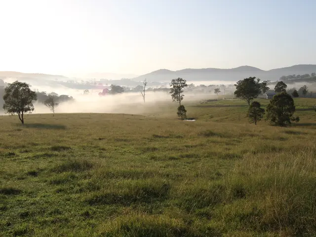 Sugar as Fertilizer for a Vibrant and Healthy Lawn: A Researcher-Turned-Gardener Shares Insights