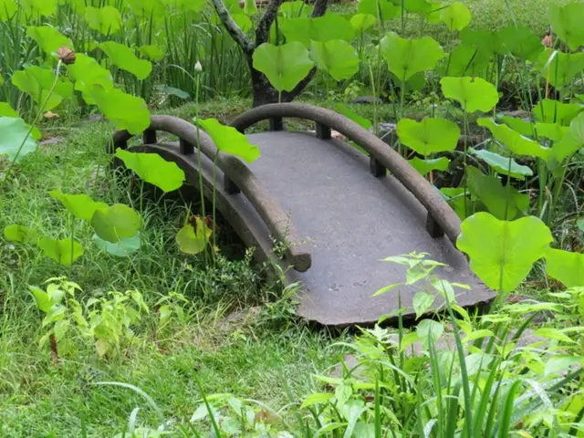 "The Saxon term 'Budzsch' has been named word of the year in 2023."