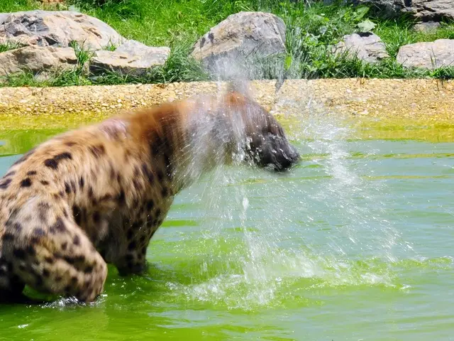 Unanticipated Animal Instances Captured on Film in Public Areas, Showcased on a Specific Instagram...