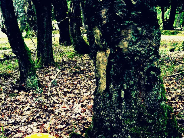 Parliament speaker of Nizhny Novgorod, Yevgeny Lyulin, revealed encountering two Caucasian men and...