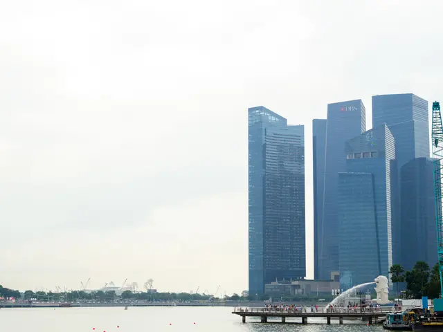 Discover the process of constructing a soakaway – a budget-friendly and efficient method to...