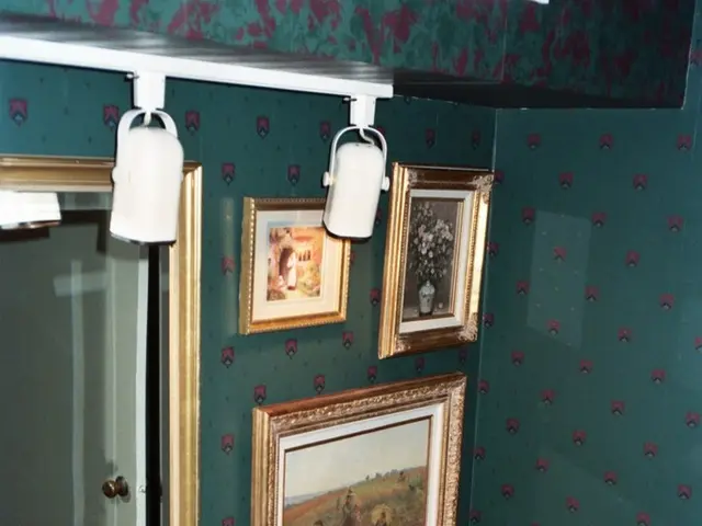 Embracing open-concept bathrooms: A daring choice or a bathroom design trend to ponder?