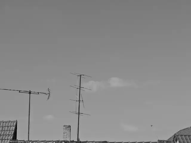 Instructions on Choosing the Ideal Dehumidifier for Your Home