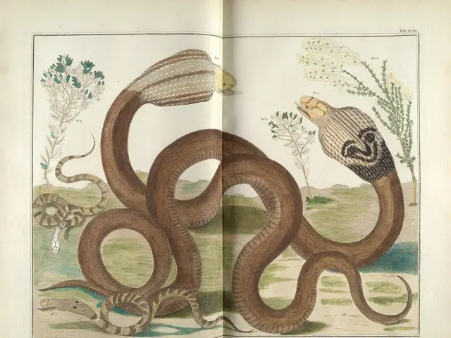 Mystery of Snake Plant Soil Pods: Explanation Unraveled