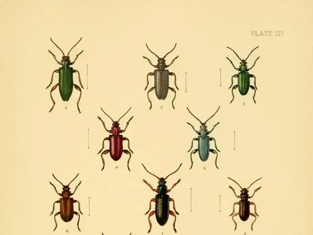 Strategies for Eliminating Cucumber Beetles