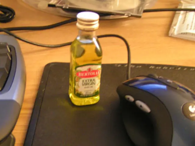 Top-Tier Nootropics for Efficient Multitasking and Quick Task Transitions