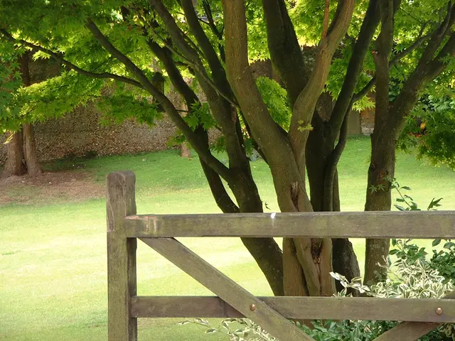 What's the Real Intended Recipient of Green Employment?