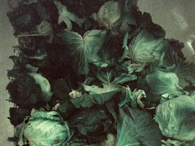 Cauliflower Growth Timing: A Guide to Planting and Reaping Seasons