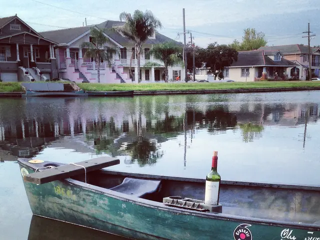 Untouched Private Scottish Island Offers Unique Cave Home Residency, Overlooking Dolphin Neighbors
